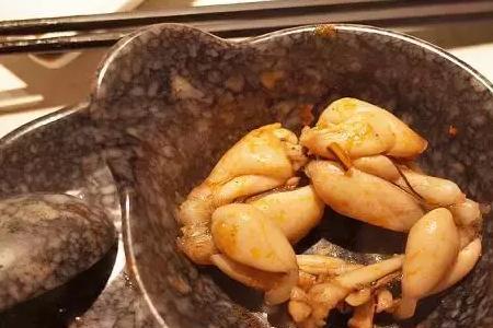 中号牛蛙多大