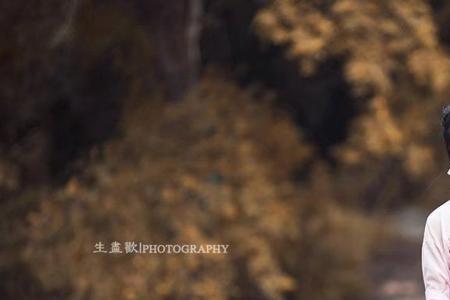 陌上轻寒什么意思