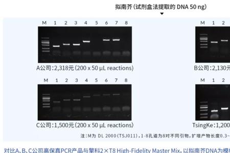 pcr中的mix成分是什么