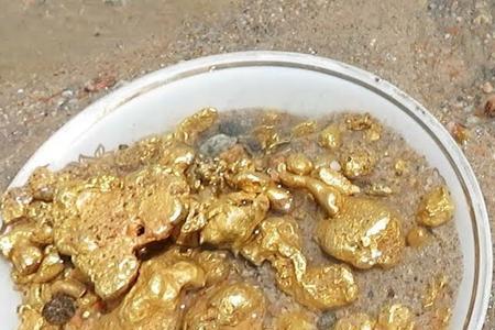 掌上淘金怎么样