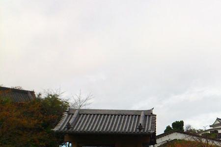天守阁最高处怎么上去