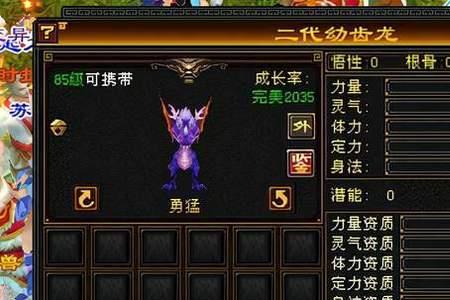 天龙八部怀旧升魂丹