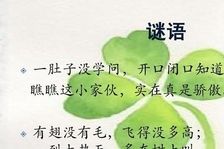 毛毛脚毛毛手谜底