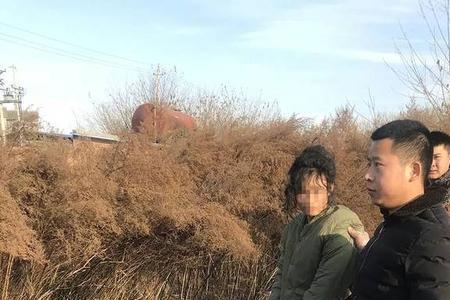 马昊和戴杏芬最终结局