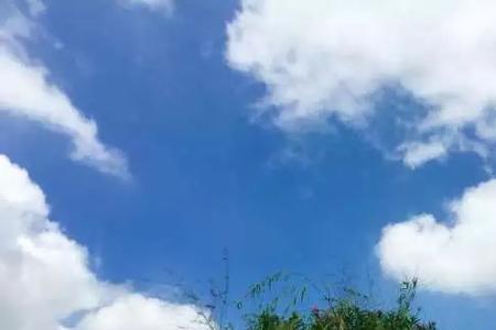 风微知著的意思