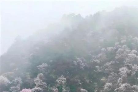 形容绣岭青的诗句