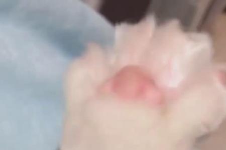 羞羞答答近义词