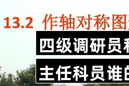 首席调查主任和总调查主任区别