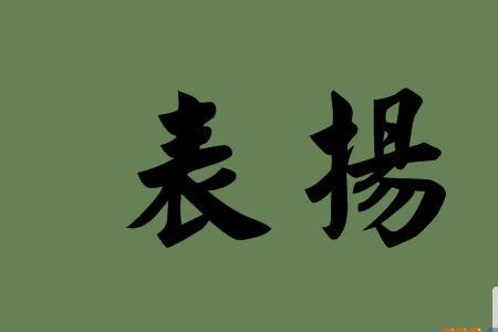 表扬新队员词语
