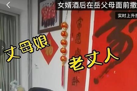 为什么一个女婿半个儿