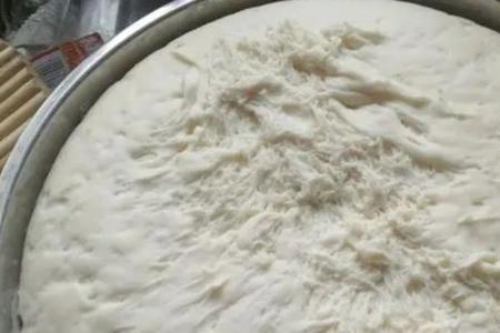 没有酵母粉用什么代替发面