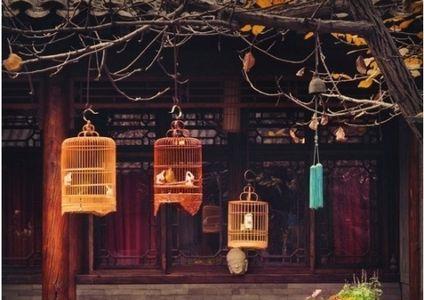 四合院里的悲欢离合白新生结局