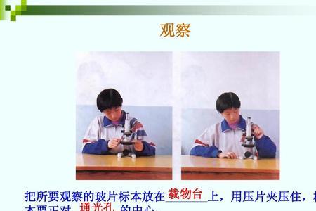 生物实验操作考试如何对光