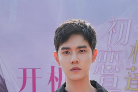 初恋是榴莲先生共几集