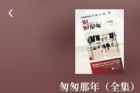 小说匆匆那年的结局是什么