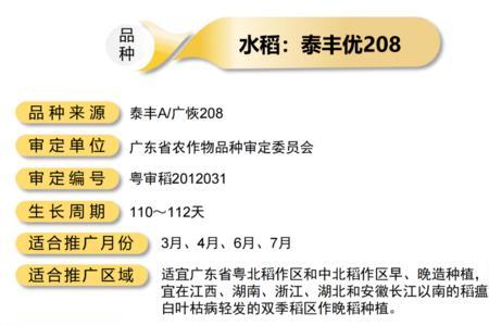 梁生宝买稻种全文原文