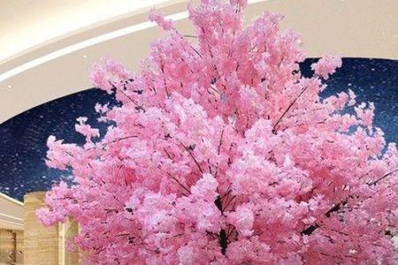 桃花树的别称