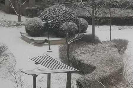 暮雪踏归途啥意思
