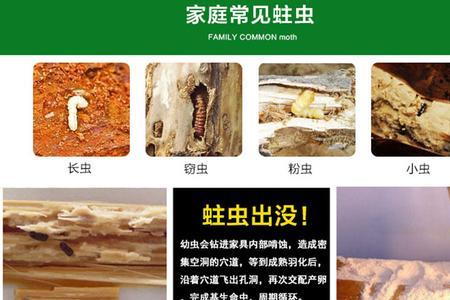 84消毒液能杀死家具蛀虫吗