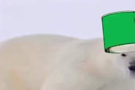 胜我一筹是什么意思