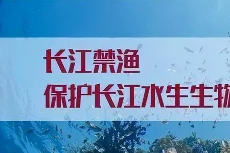 南京长江十年禁渔期的起止时间