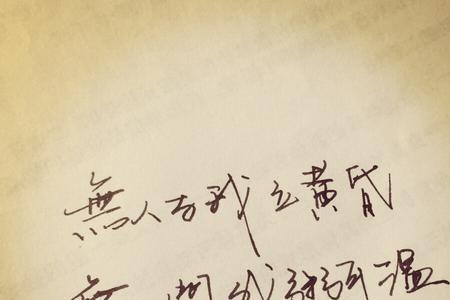 无人与我立黄昏注解