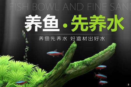 鱼缸不放细菌屋可以吗
