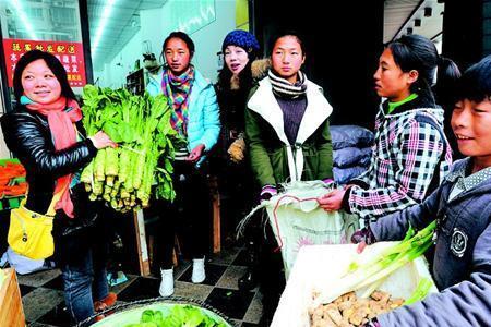 卖菜论斤和包地区别