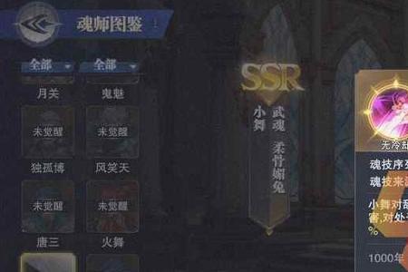 魂师对决白鹤和小舞哪个好