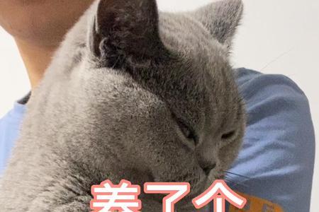 你是我的小祖宗啥意思