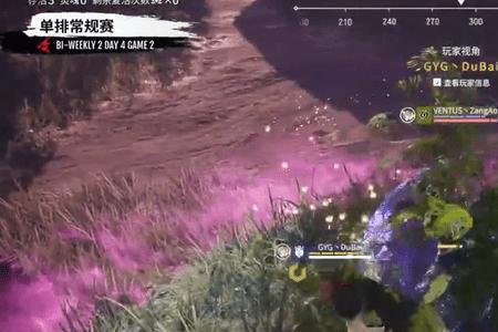 永劫梅花桩是什么意思