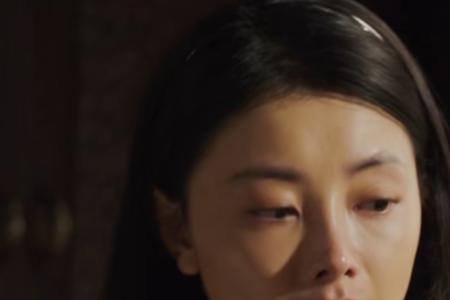 山河锦绣赵书和女儿扮演者
