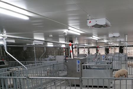牧原养猪技工真实生活