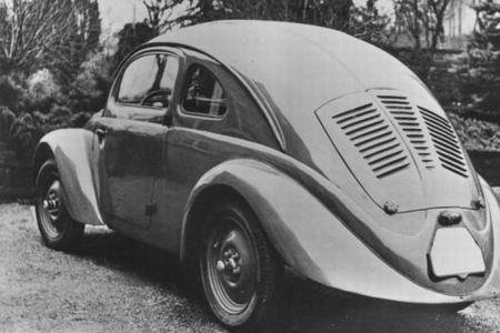 甲壳虫繁殖能力