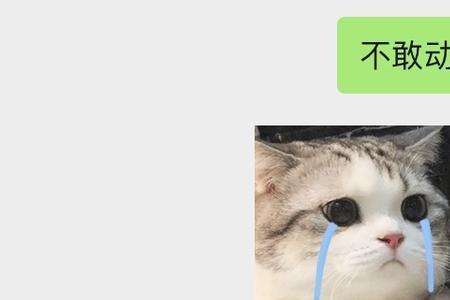 室友说你乱该怎么怼回去