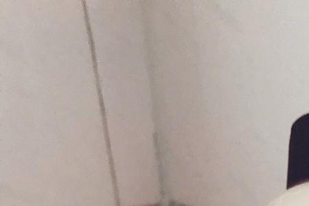kanon防脱洗发水怎么样