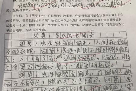 续编是什么意思