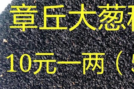 大葱有种子吗