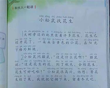 小松鼠找花生一年级几个自然段