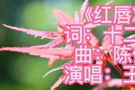 红唇歌词王峰