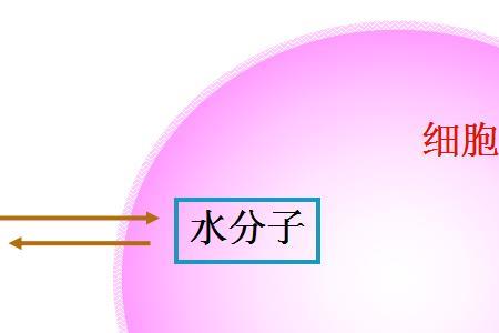 nrt表示什么意思