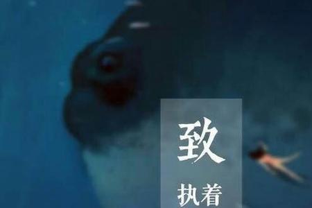 深情厚爱承某错爱什么意思啊