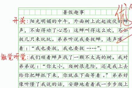 五感法写枫树林