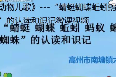 儿歌蜘蛛网歌词