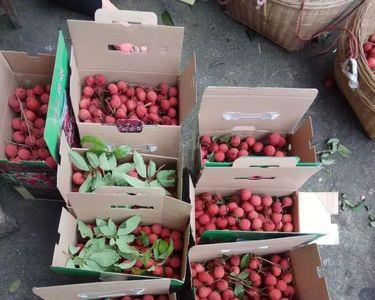荔枝在车里暴晒12小时会坏吗