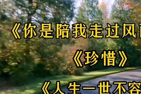 陪你走过风雨的人原版原唱
