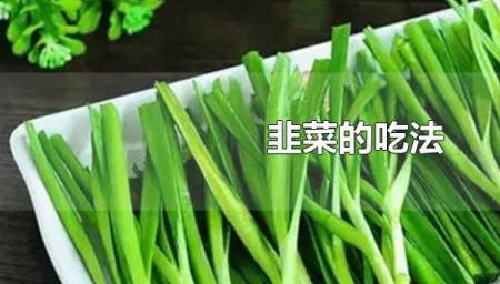 十大顶级韭菜品种