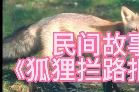 狐狸报恩的故事全文
