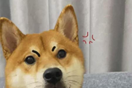耶啵哒什么意思