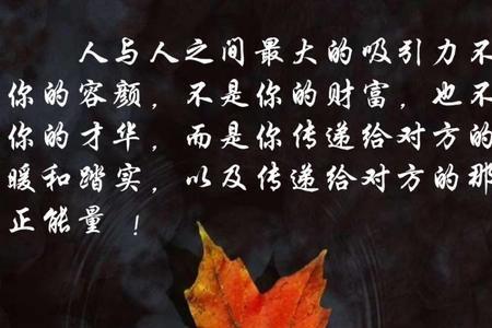 人的高度取决于下一句